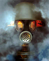 Сталкеризмы. Старуха